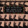 The Souls of Black Folk by W. E. B. Du Bois Paperback Book 9780486280417