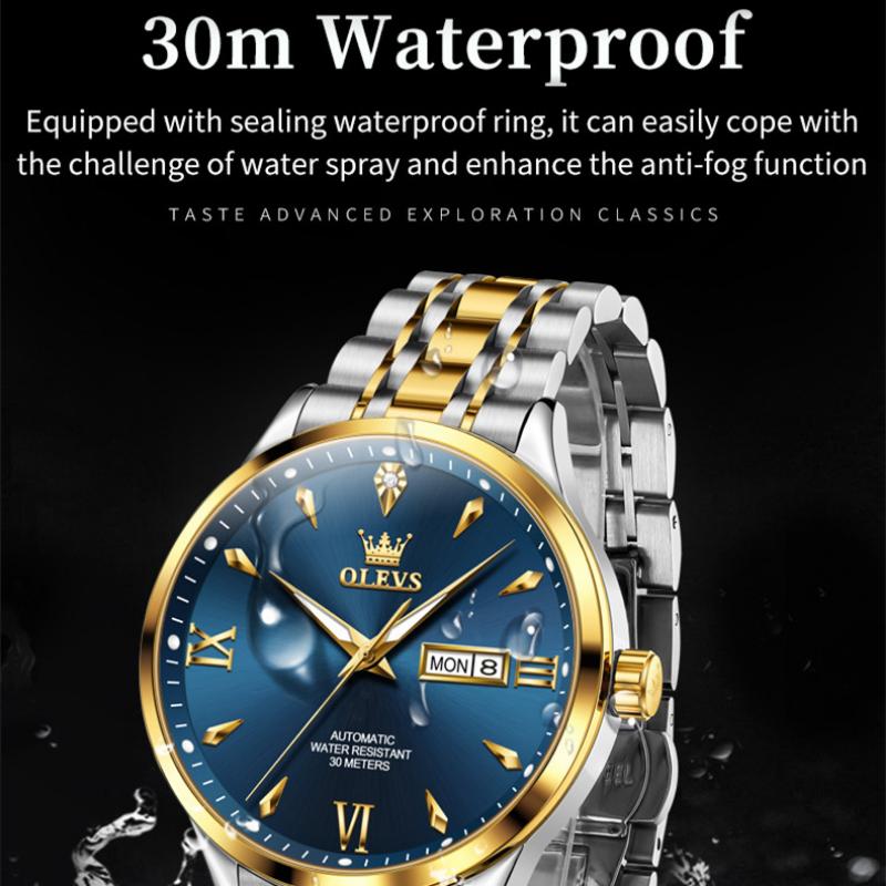 OLEVS Men's Watch Automatic Mechanical Watch Simple Luminous Double Calendar High-end Watch