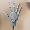 Simulation Hand Joint Finger Manikin Hand Articulated Hand For Displaying Hand Model  Art Painting