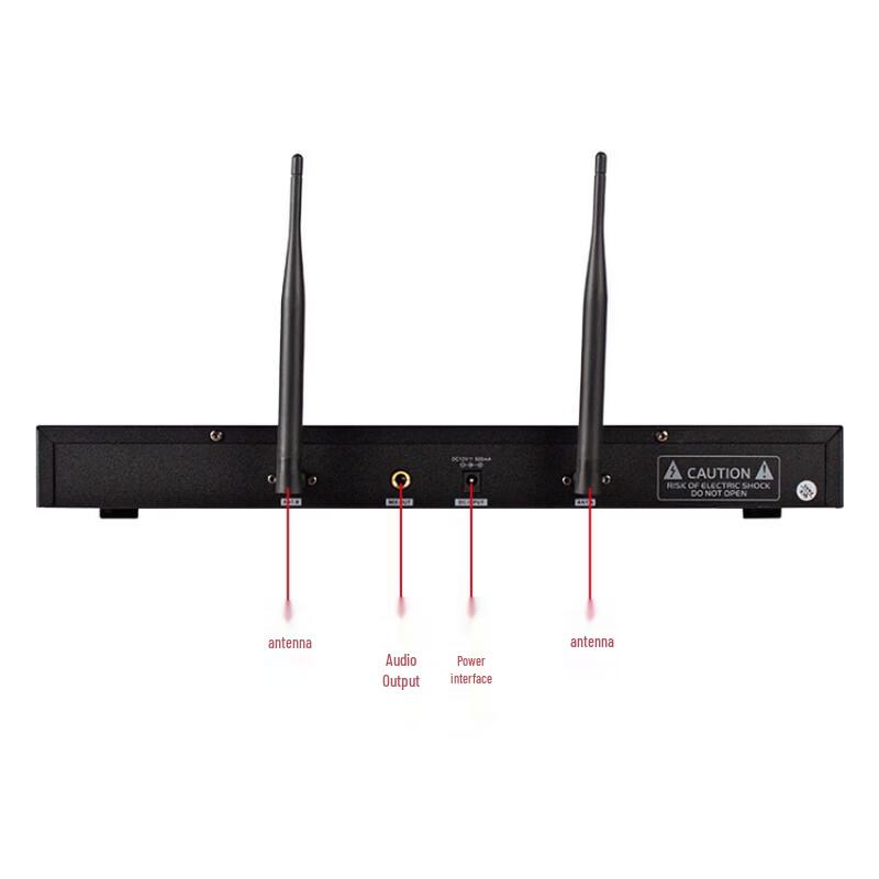 Lingsheng Home Karaoke System with Integrated Amplifier CN plug (adapter included)