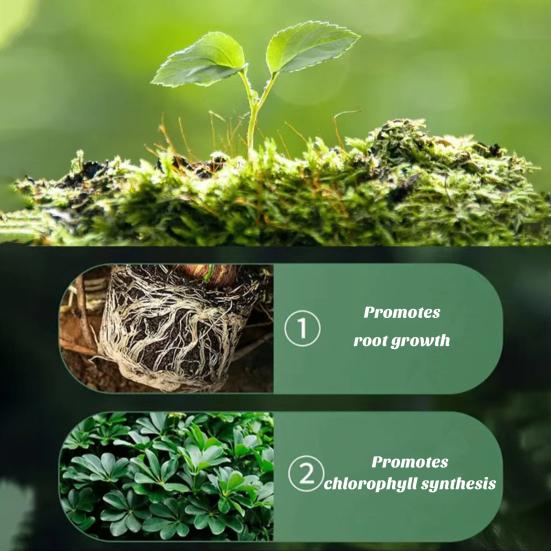 18 шт., удобрения для растений, домашние, для использования на открытом воздухе, для цветов, для еды, здорового роста, длительного действия, питательные палочки с медленным высвобождением, садовые принадлежности