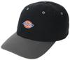 Кепка [Dickies] [Dickies]