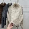 Vintage Twist Double Zipper Sweater Women's Soft Waxy Plush Thick Needle Knitted Top Women