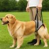Comfortable Pet Rear Leg Support Adjustable Hind Leg Support Straps  Recovery Period