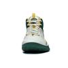 Li Ning Anti-5 Basketball Shoes Men Sneakers White Green ABFT015-2