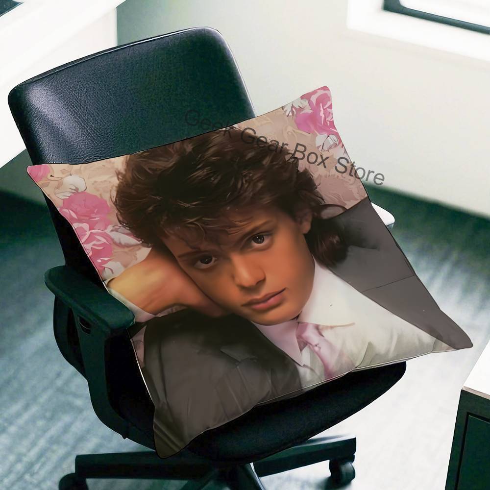 L-Luis Miguel Singer Pillow Case Plush Pillow Cases Home Decoration Pillow Cover For Sofa Bed Chair Living Room