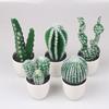 Creative Indoor Ornament Simulation Pu Cactus Potted Plant Simulation Green Plant Plastic Bonsai Es1305