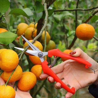 1 шт. Садовые секаторы из высокоуглеродистой стали, нескользящие ручки, прямые и изогнутые лезвия для прореживания плодов, обрезки плодовых садов