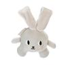 Biztis Dog Canina Rabbit Plush Toy
