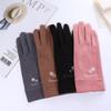 Защита от холода на открытом воздухе Перчатки для сенсорных экранов Теплые варежки Женские перчатки Перчатки для езды на велосипеде