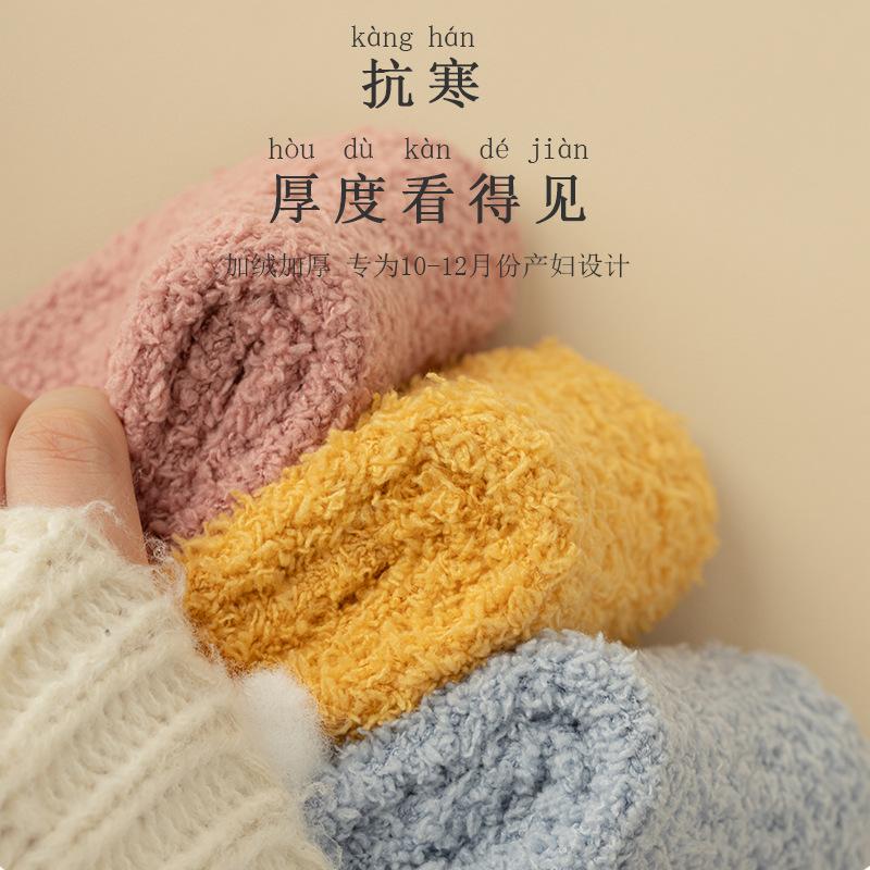 Three-Dimensional Wing Fleece Socks Women'S Coral Fleece Cartoon Embroidered Tube Socks Winter Fleece Thickened Floor Socks