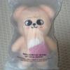 [USED] PUPPYM Teddy Bear Plush Toy SKZOO TEDDYBEAR