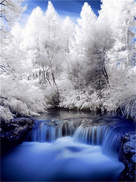 Полный квадратный круглый набор для алмазной живописи Дерево Снег Домашний декор Вышивка Мозаика Зимний пейзаж Настенное искусство