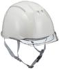 DIC Plastics Helmet with Clear Protective and Styrofoam Light AA11EVO-CS Peak, Shield, Liner, Gray/Smoke (AA11-CS-HA6E2-A11-GY-S)