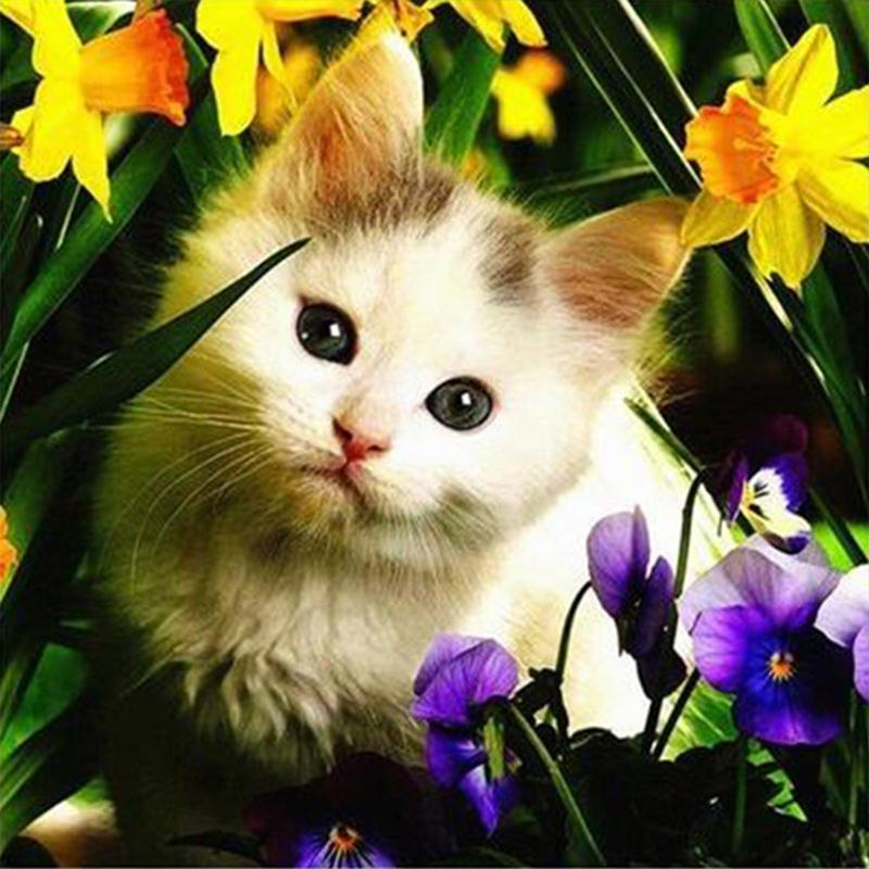 Полная дрель круглая/квадратная алмазная живопись кошка 5D DIY Алмазная вышивка животное мозаика вышивка крестиком настенное искусство подарок ручной работы