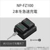 SONY ACC-ZD1K Accessory Kit (BC-ZD1 + NP-FZ100)