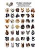 RETRIEVER CLUB Белая Бейсболка с Логотипом [Угольно-серый]