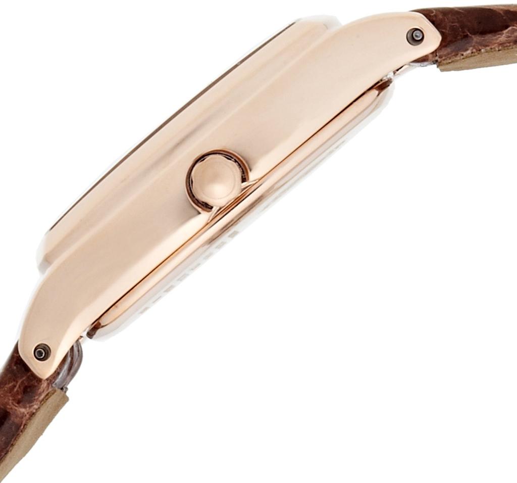 Citizen Exceed EX2002-03A Eco-Drive Brown Women's