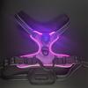Luminous Pet Harness Rechargeable LED Lighted Dog Harness Adjustable Glowing Pet Chest Strap