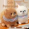 Adorable Pomeranian Plush Toy - Stuffed Puppy Doll for Girls' Birthday Gift or Decoration