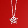 Комплект колье и серег-пусет из стерлингового серебра 925 пробы «Снежинка» - Изысканные осенне-зимние рождественские подарочные аксессуары.