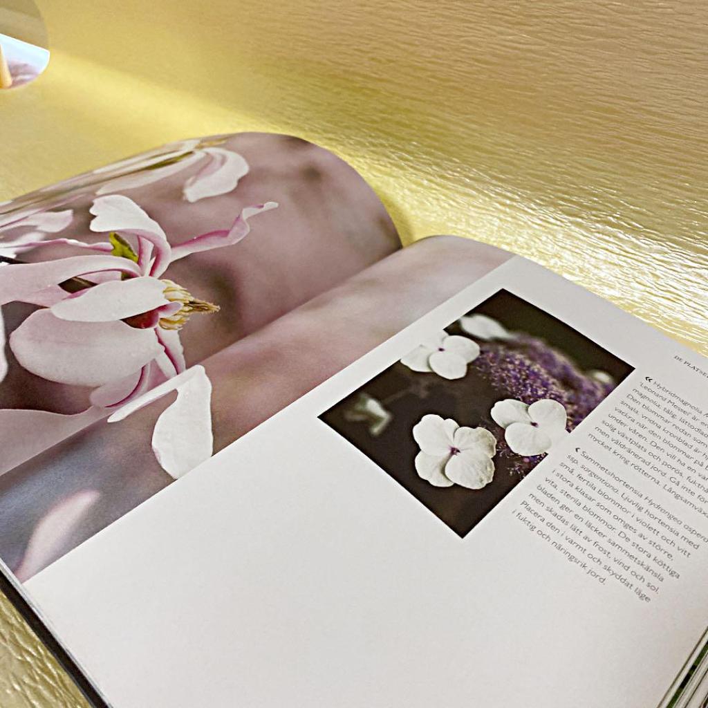 [Б/У] Набор из трех книг по аранжировке цветов, купленных в Швеции