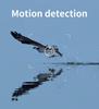 Camouflage Solar-Powered Outdoor Surveillance Camera with Infrared Detection and Alarm