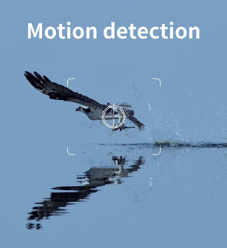 Camouflage Solar-Powered Outdoor Surveillance Camera with Infrared Detection and Alarm