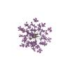 100шт прессованный сушеный цветок Ammi Majus из эпоксидной смолы для ногтей DIY Декор для телефона