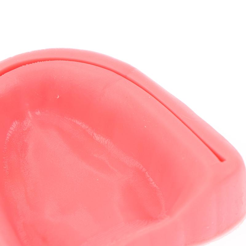 2Pcs Dental Oral Gum Suture Training Module Silicone Periodontitis Suture Model