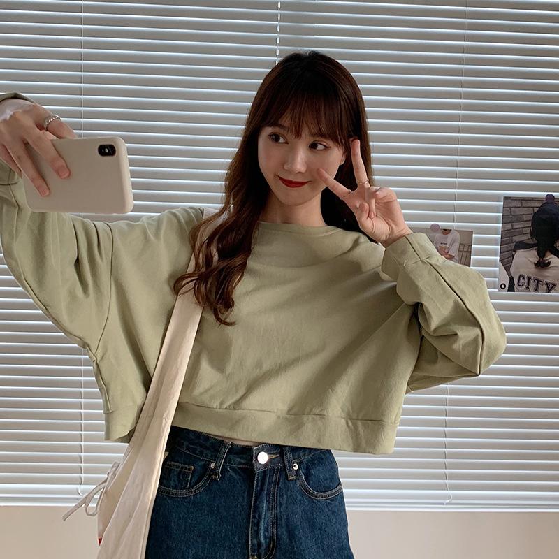 Spring and Autumn Regular Models Loose Thin Section Sweater Women Casual Short Section Round Neck Long-sleeved T-shirt Retro Versatile Sweatshirt