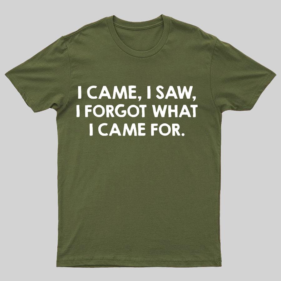I Came and Saw Funny Geeky T-Shirt