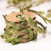 5M Simulation Green Leaves Weaving Hemp Rope DIY Wedding Birthday Wedding Decoration Rattan Gift Bouquet Packaging Rope 5mm