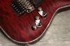 Schecter Electric Guitar HELLRAISER FR BCH C-1