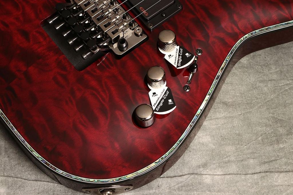 Schecter Electric Guitar HELLRAISER FR BCH C-1