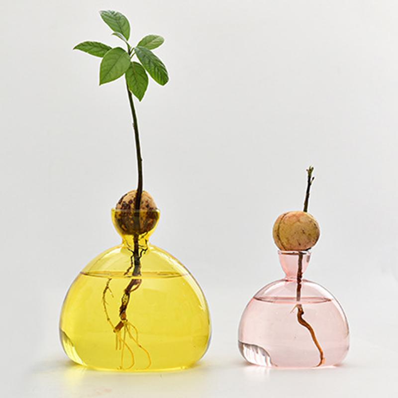 1шт набор для выращивания семян подарок для любителей садоводства домашний декор прозрачная стеклянная ваза