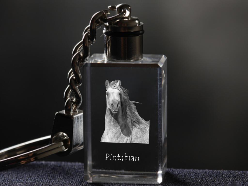 Pintabian - Crystal Pendant with Photo of a Horse, Illuminated Pendant, Unique Gift by Art-Dog Brand