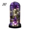 Romantic Spooky Festival Gift Halloween Indoor Light Up Rose in Plastic Dome Cloche, Artificial Preserved Flower Shadow Night with Spider Pumpkin