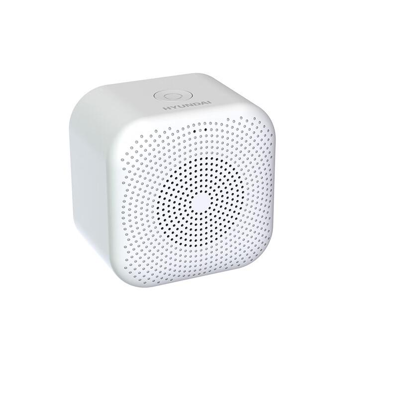 Hyundai YH-F006 Portable AI Smart Bluetooth Speaker