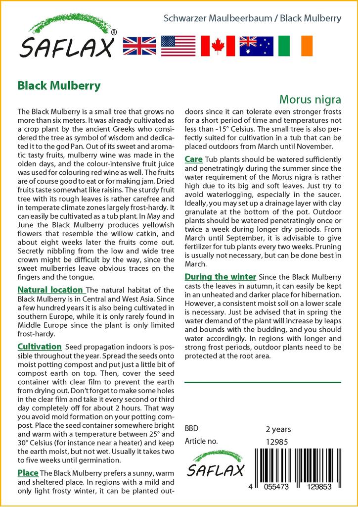 SAFLAX Подарочный набор - Черная шелковица - 200 семян - С подарочной коробкой, карточкой, этикеткой и субстратом для горшков - Morus nigra
