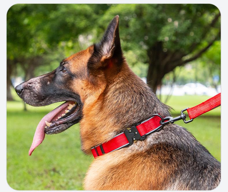 Светоотражающий тактический ошейник для собак средних и крупных пород: Колли, Золотистый ретривер, Лабрадор