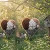 Bird Nesting Heart Refillable Hangable Outdoor Holder Fiber Bird Nesting Material for Parakeet Hummingbird Cockatiel Canary