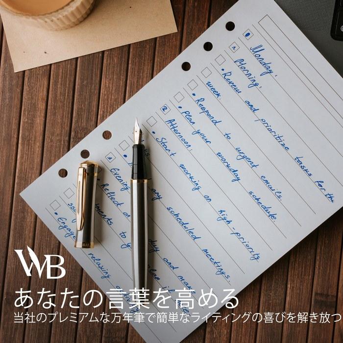 Wordsworth & Black Fountain Pen Set, 18K Glided Medium Nib, 24 Ink Cartridges, Ink Converter, Gold Finish, Calligraphy, [Silver Gold]