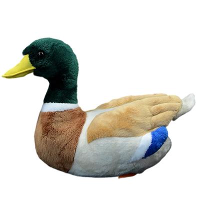 Имитация Плюшевая игрушка Утка Коул - Зеленая Утка Коул Реалистичное Чучело Мягкая Плюшевая Игрушка 12 Дюймов Реалистичный ПП Хлопок Подарок для Мальчиков и Девочек Дом