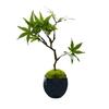 Small Bowl Blue (Momiji) Mini Bonsai Tabletop Fake Green Made Japan