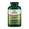Lactobacillus Acidophilus 1 Billion CFU, 250 Capsules