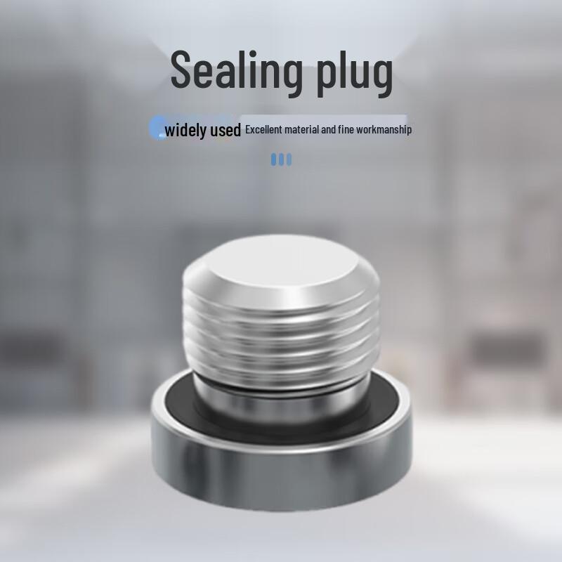 304 Stainless Steel Internal Hex Threaded Plug