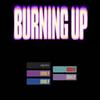Pre-order MEOVV BURNING UP Shoelace Tag Set