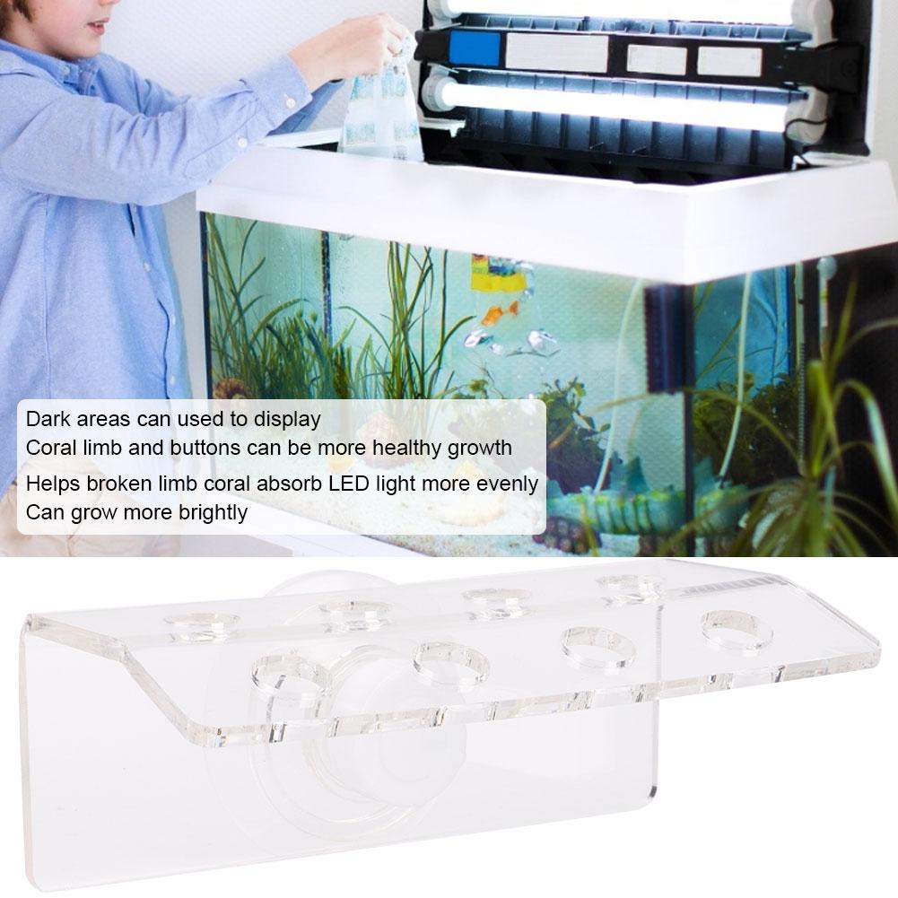Акриловый Прозрачный Аквариум Фронтальная Загрузка Изогнутый Коралл SPS Кнопка Зацепы Кронштейн Крепление Аквариумы