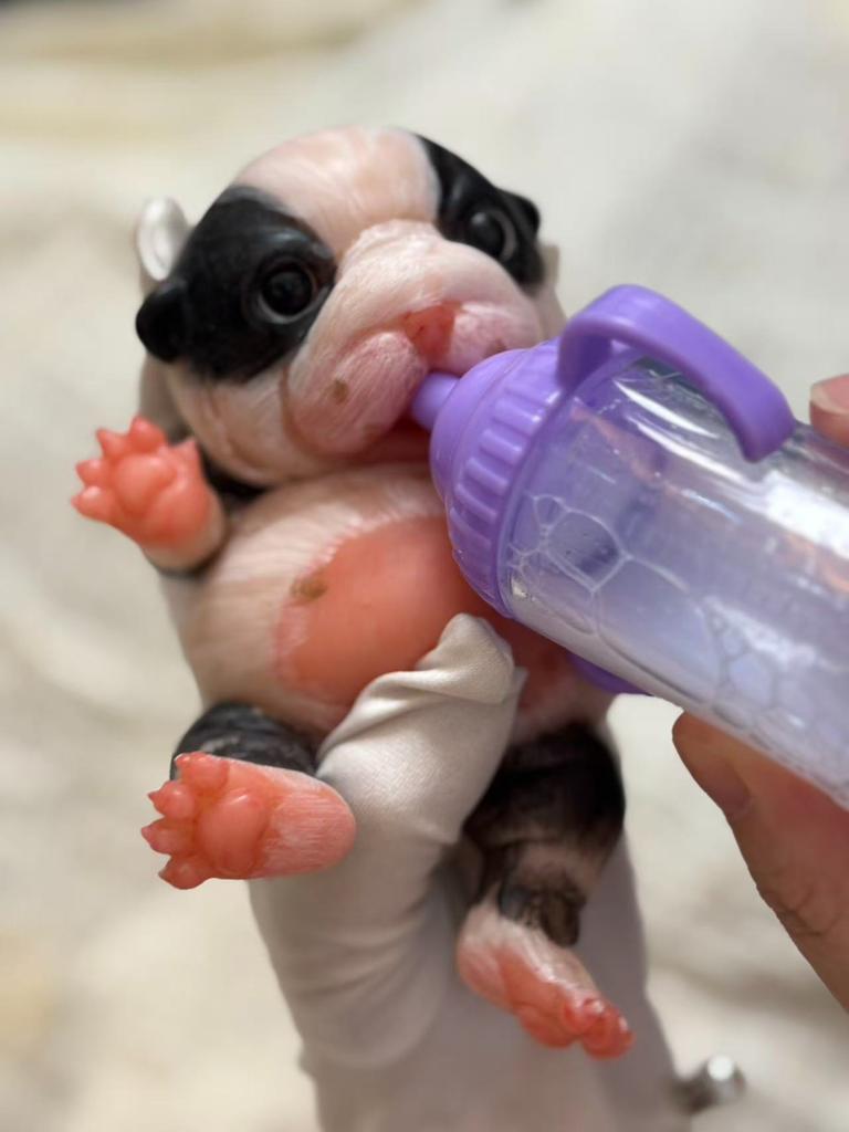 1 шт. 17 см Реалистичный силиконовый щенок 3D-раскраска Reborn Животное с реалистичными деталями Открытый рот Собака Искусство Ладонь Игрушки Для подарков